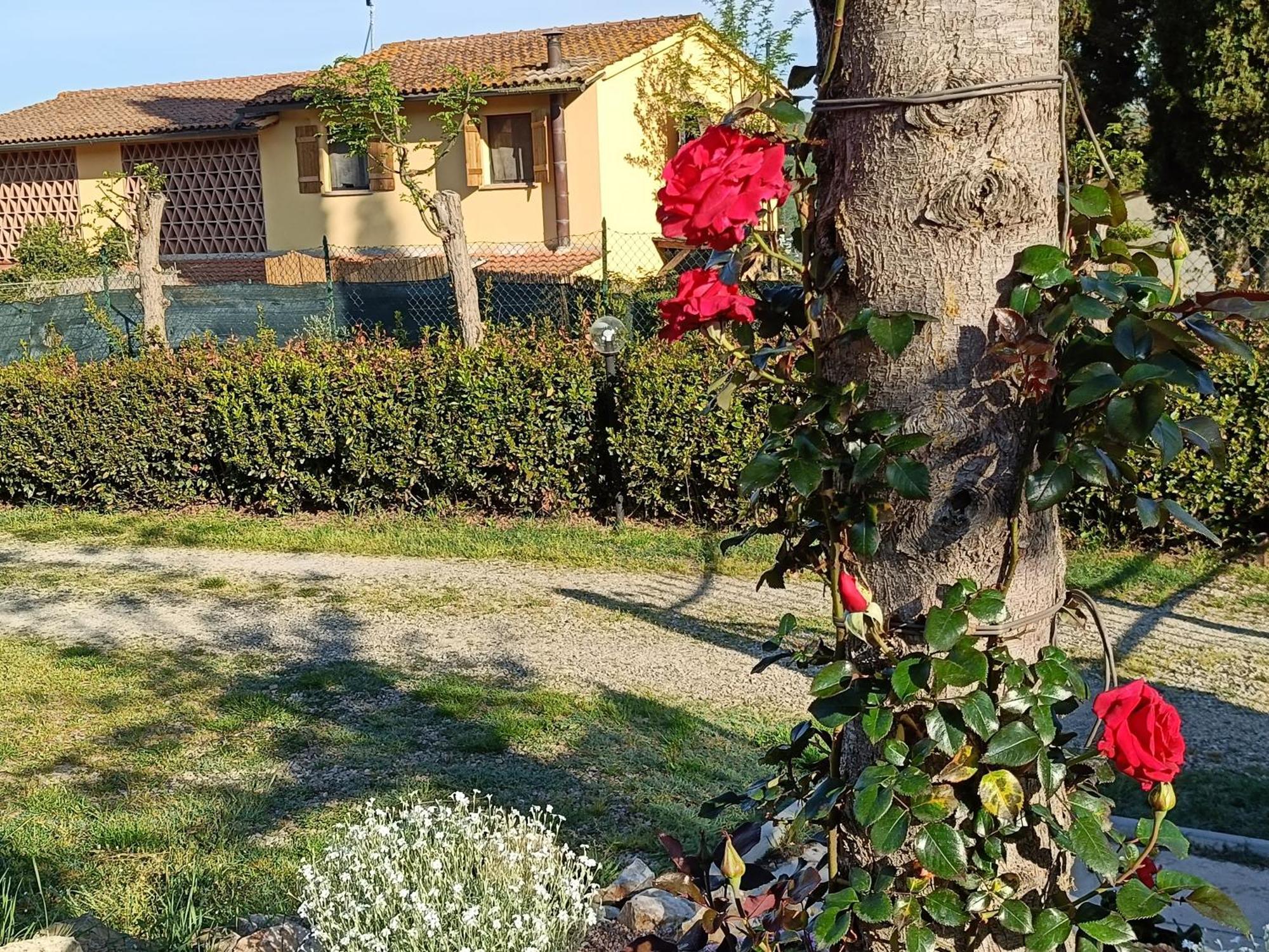 Casa Orneto Villa Poggibonsi Exteriör bild